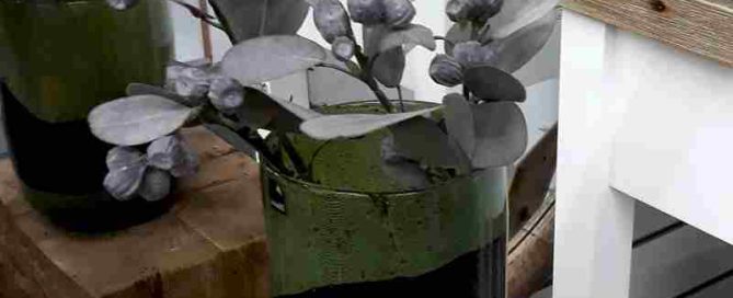 homewares gallery image