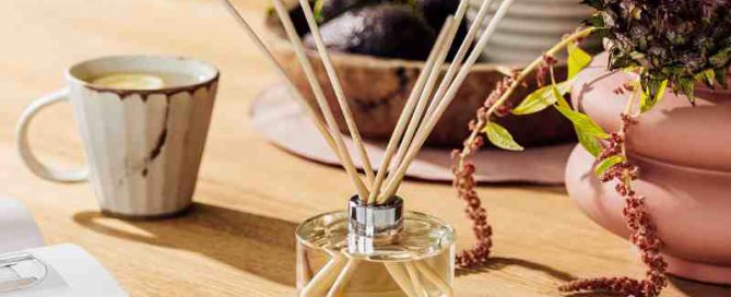 Ecoya Reed Diffuser Refills