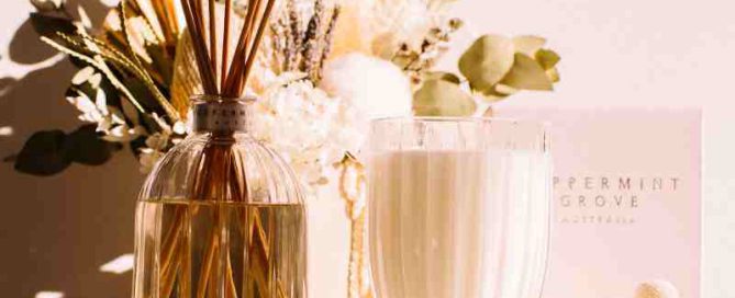 Gift Guide - Peppermint Diffuser